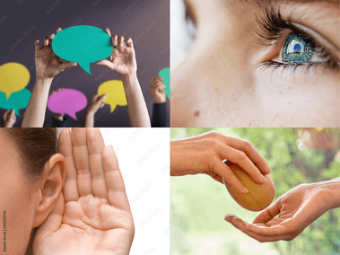Auge Ohr Hände Sprache als Symbole für Lerntypen - Akademie Herkert