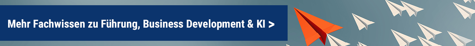 Banner der Kategorie Führung, Business Development & KI