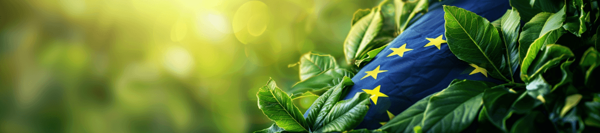Kurs: Brennpunktthema: Die Anti-Greenwashing-Richtlinie