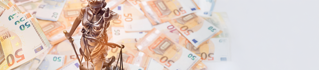 Kurs: Ordnungswidrigkeitenverfahren vor dem Amtsgericht