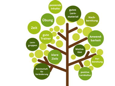 Grüner Baum mit Tipps für berufliches Wachstum mit firmeninternen Weiterbildungen - Akademie Herkert