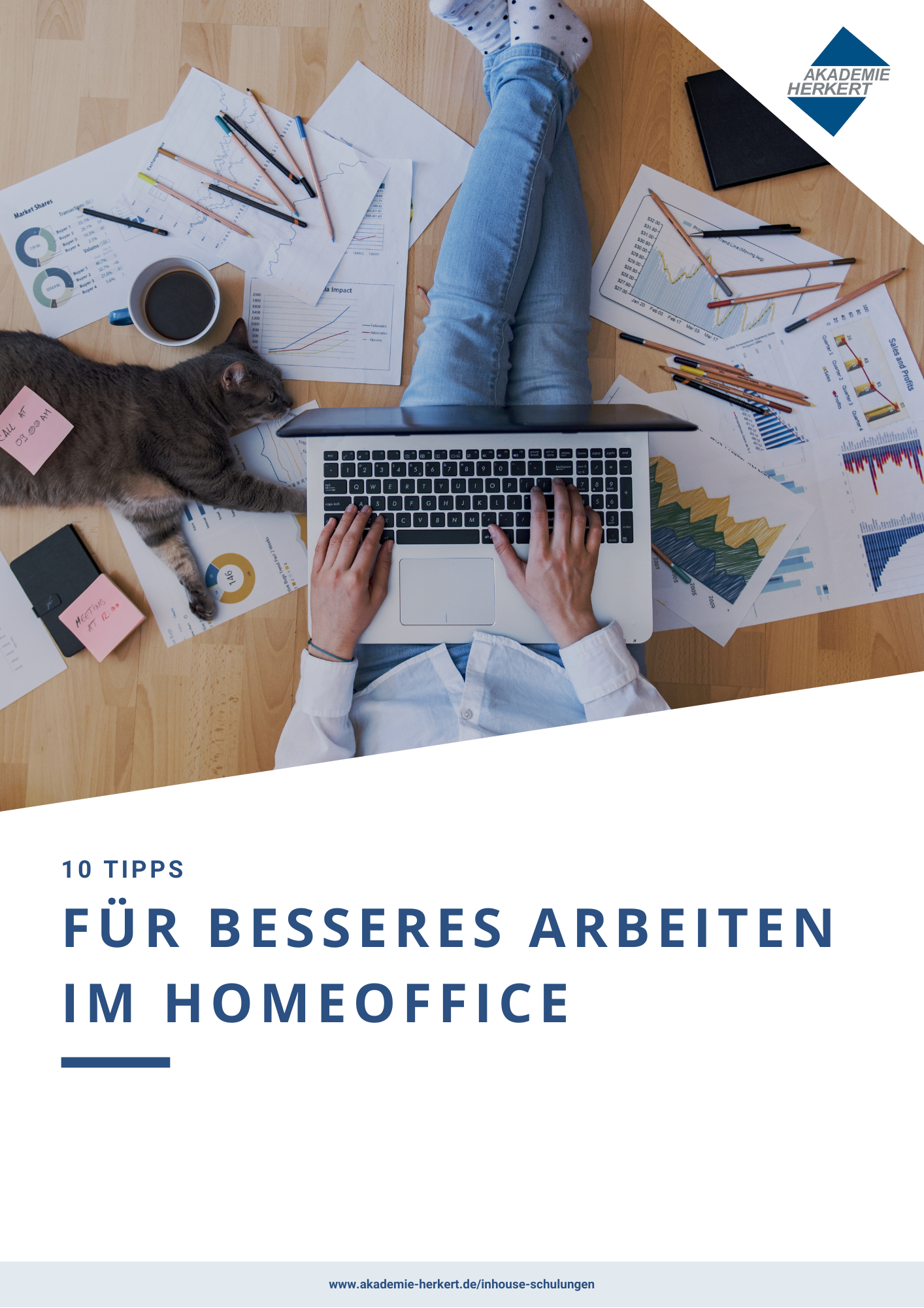 Titelseite Whitepaper 10 Tipps fürs Homeoffice