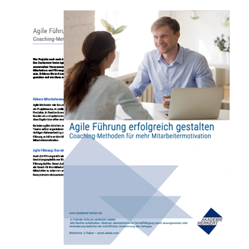 Vorschau Agile Fhrung