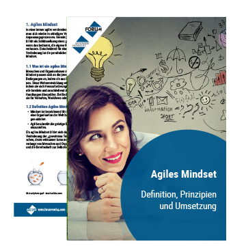 Agiles Mindset