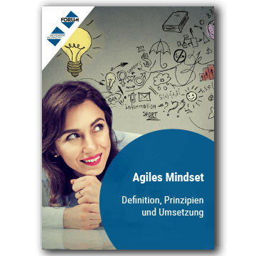 Agiles Mindset